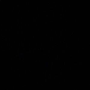 Meet your Posher, Elena